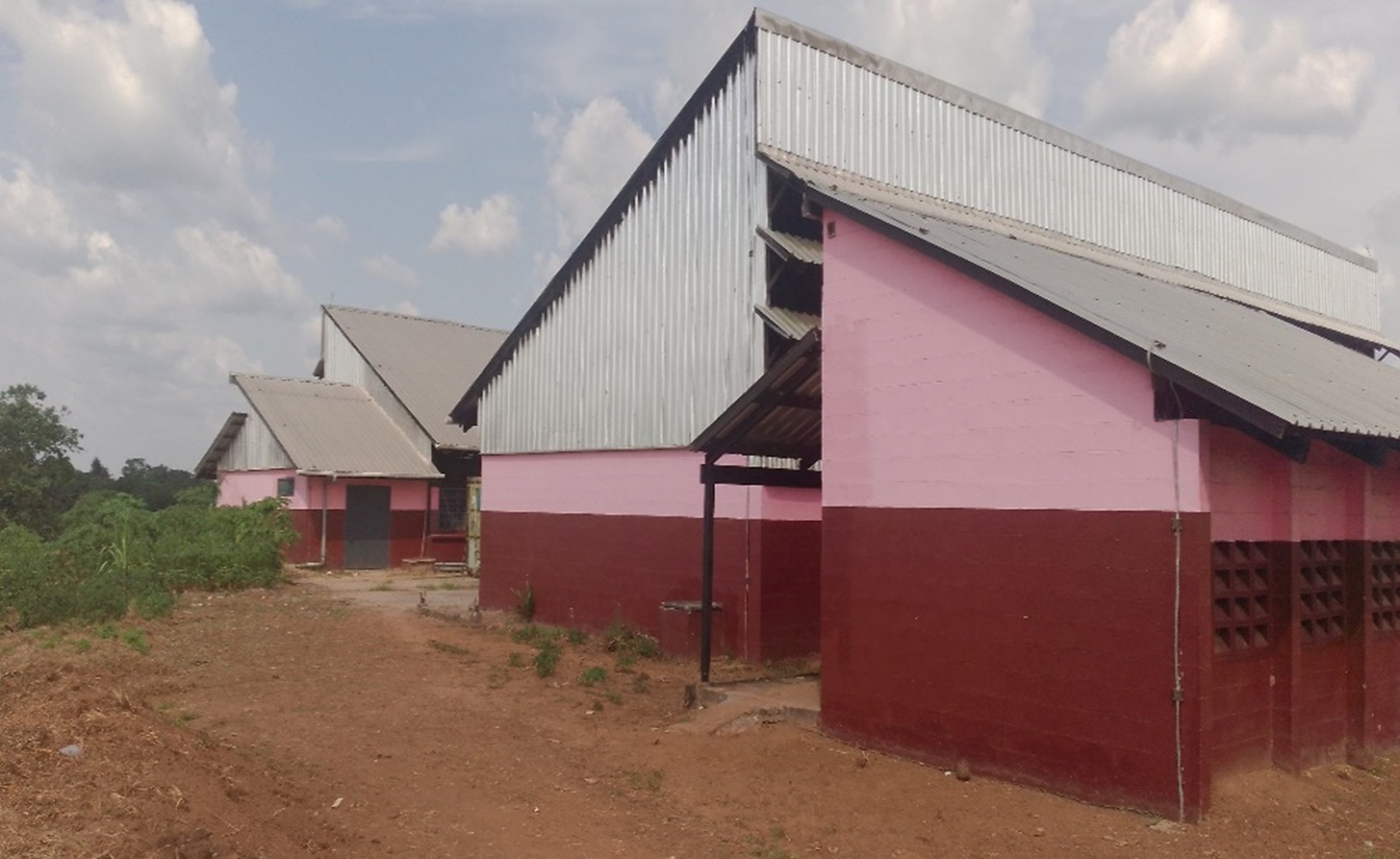 Beautiful view of the school building